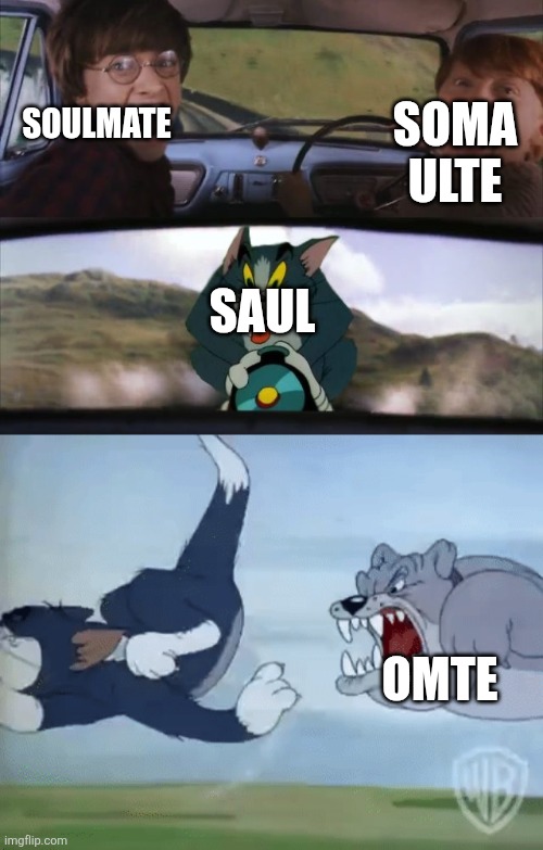 Harry Potter and Ron being chased by Tom with an extra panel | Soulmate Soma ulte Saul Omte | image tagged in harry potter and ron being chased by tom with an extra panel | made w/ Imgflip meme maker