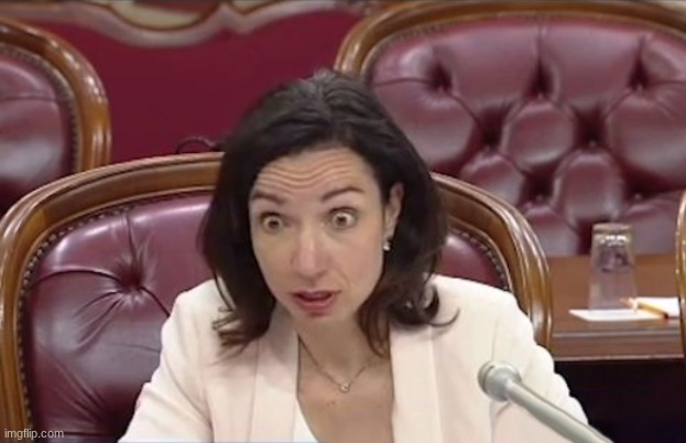 I didn't know zeal was that disgusting bro | image tagged in shocked iliana ivanova - big eyes oups | made w/ Imgflip meme maker