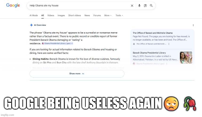 Google never helps with my issues | google being useless again😒🥀 | image tagged in obama ate my house,blank white template,memes,funny,shitpost,obama | made w/ Imgflip meme maker