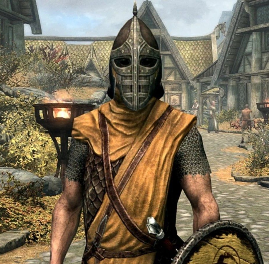 Skyrim guard Blank Meme Template
