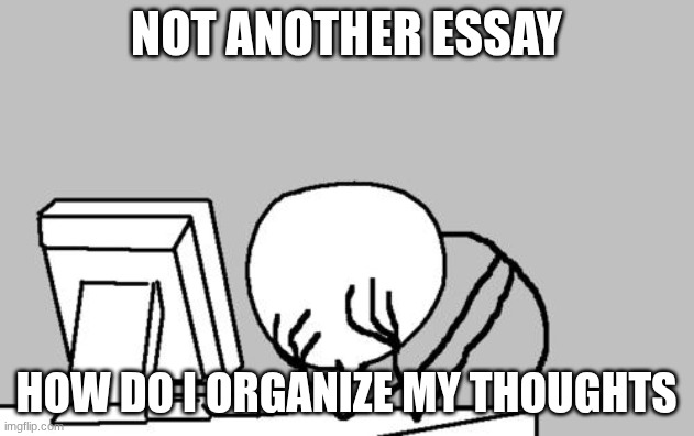 Computer Guy Facepalm Meme | Not Another Essay; How do I organize my thoughts | image tagged in memes,computer guy facepalm,remix | made w/ Imgflip meme maker