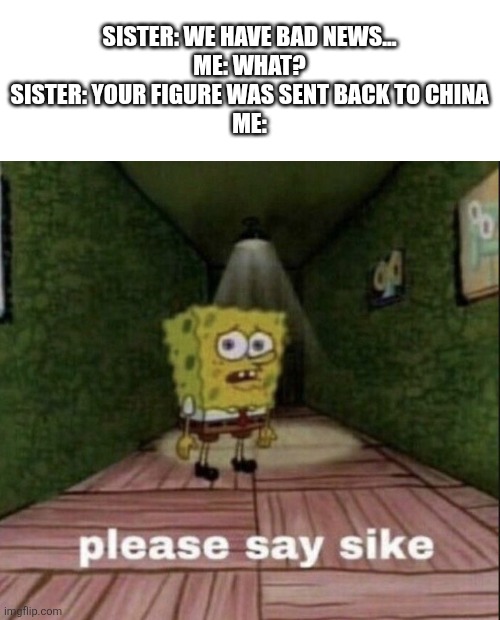 Nah she just joking | Sister: we have bad news...
Me: what?
Sister: your figure was sent back to China
Me: | image tagged in please say sike | made w/ Imgflip meme maker