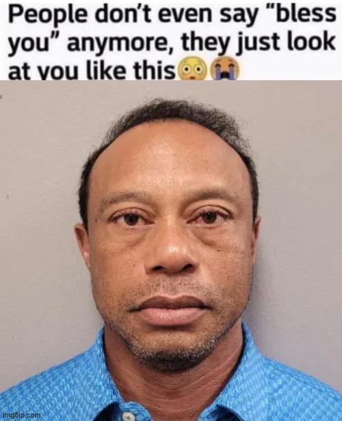 tiger... | image tagged in funny,dui,tiger woods | made w/ Imgflip meme maker