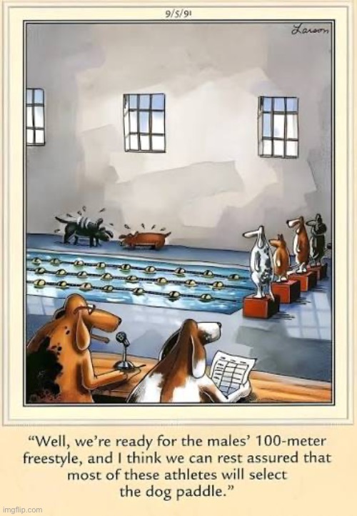 Why change a good thing now… | image tagged in the far side,comics,dogs,swimming,dog paddle,pool | made w/ Imgflip meme maker