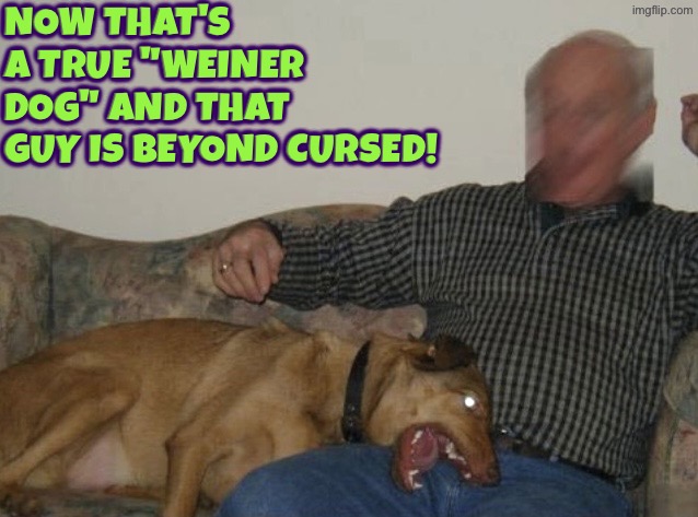 This poor guy is beyond cursed. Any man would agree | Now that's a true "weiner dog" and that guy is beyond cursed! | image tagged in weiner dog,cursed images,beyond cursed,weiner,dogs,what a terrible day to have eyes | made w/ Imgflip meme maker