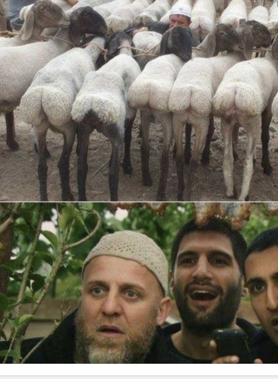 High Quality Virgins Blank Meme Template