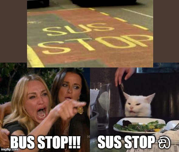 amongus in 2026 | bus stop!!! sus stop ඞ | image tagged in woman yelling at cat | made w/ Imgflip meme maker