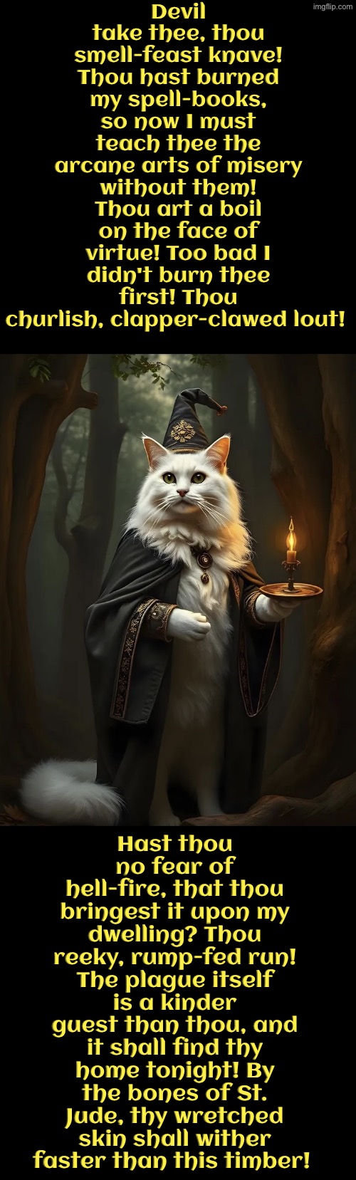 Thou Smell-Feast Knave | Devil take thee, thou smell-feast knave! Thou hast burned my spell-books, so now I must teach thee the arcane arts of misery without them! Thou art a boil on the face of virtue! Too bad I didn't burn thee first! Thou churlish, clapper-clawed lout! Hast thou no fear of hell-fire, that thou bringest it upon my dwelling? Thou reeky, rump-fed run! The plague itself is a kinder guest than thou, and it shall find thy home tonight! By the bones of St. Jude, thy wretched skin shall wither faster than this timber! | image tagged in medieval cat,cats,medieval memes,wizards,insults,cursed | made w/ Imgflip meme maker