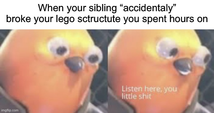 Listen here you little shit bird | When your sibling “accidentaly” broke your lego sctructute you spent hours on | image tagged in listen here you little shit bird | made w/ Imgflip meme maker