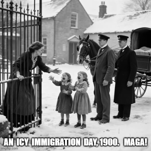 Ice, Ice, Babies | An  icy  immigration  day, 1900.   maga! | made w/ Imgflip meme maker
