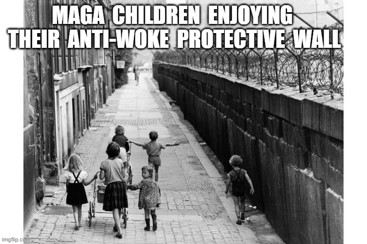 Fortress MAGAmerica | maga  children  enjoying  their  anti-woke  protective  wall | image tagged in trump wall | made w/ Imgflip meme maker