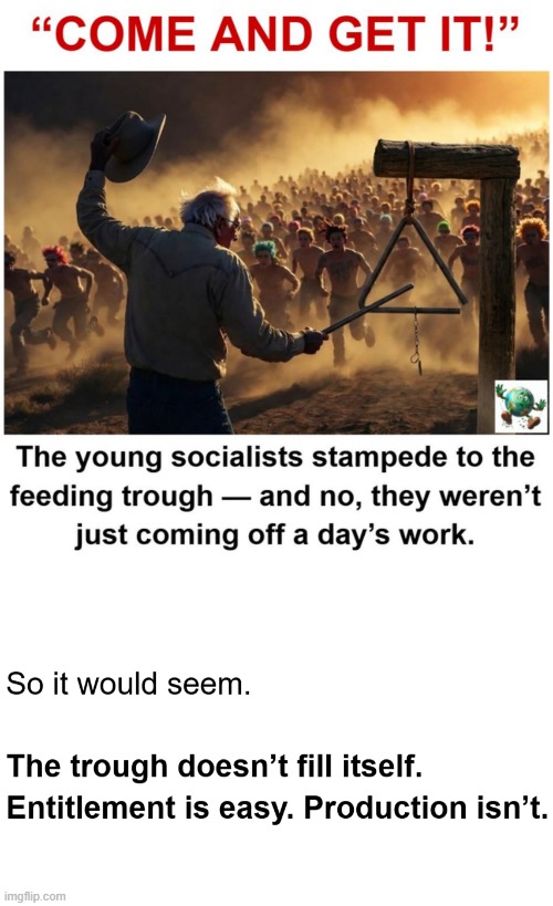 Do Socialists want the Government to provide everything? | image tagged in maga,conservative,socialism | made w/ Imgflip meme maker