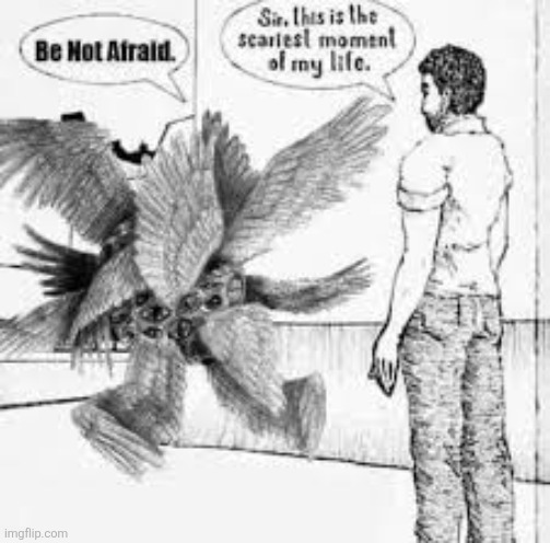 Be Not Afraid | image tagged in be not afraid | made w/ Imgflip meme maker