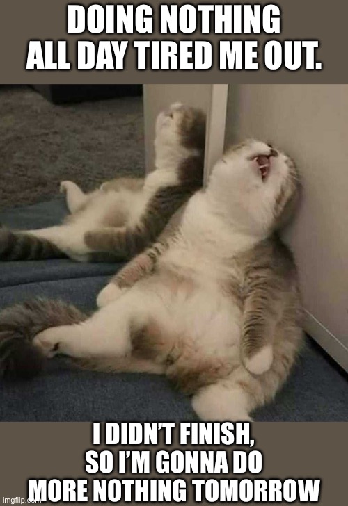 Doing nothing all day tired me out. I didn’t finish, so I’m gonna do more nothing tomorrow | image tagged in deep sleep cat | made w/ Imgflip meme maker