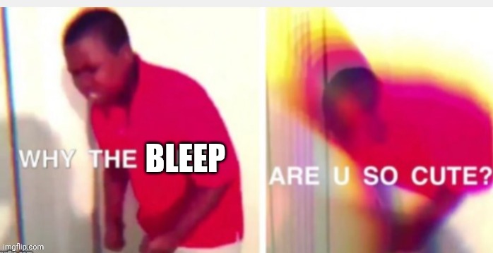 Why the f* are you so cute?! | Bleep | image tagged in why the f are you so cute | made w/ Imgflip meme maker