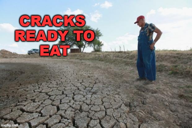 Drought Farmer | cracks 
ready to
eat | image tagged in drought farmer | made w/ Imgflip meme maker