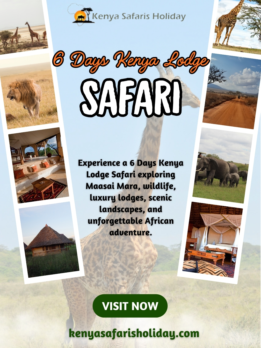 6 Days Kenya Lodge Safari Blank Meme Template