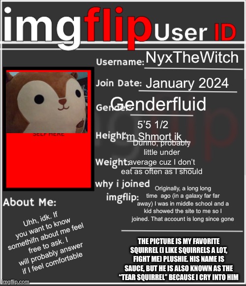 Everyone else is doing it so I guess I should too | NyxTheWitch; January 2024; Genderfluid; 5’5 1/2 I’m Shmort ik; Dunno, probably little under average cuz I don’t eat as often as I should; Originally, a long long time  ago (in a galaxy far far away) I was in middle school and a kid showed the site to me so I joined. That account is long since gone; Uhh, idk. If you want to know somethifn about me feel free to ask. I will probably answer if I feel comfortable; The picture is my favorite squirrel (I like squirrels a lot, fight me) plushie. His name is Sauce, but he is also known as the “tear squirrel” because I cry into him | image tagged in imgflip user id | made w/ Imgflip meme maker