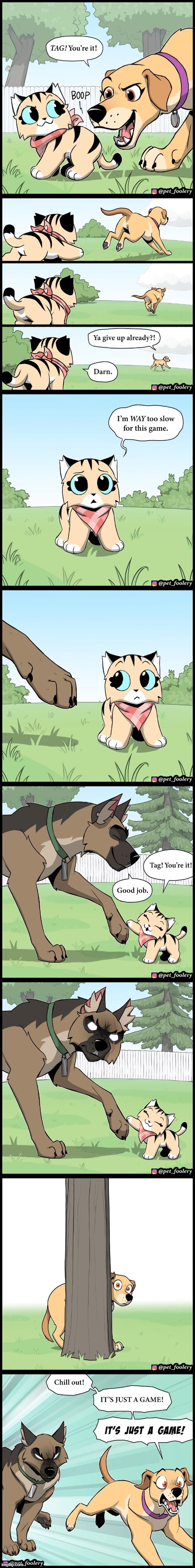 Run, Lola, run! | image tagged in dog,cat,tag,dogs,run,running | made w/ Imgflip meme maker