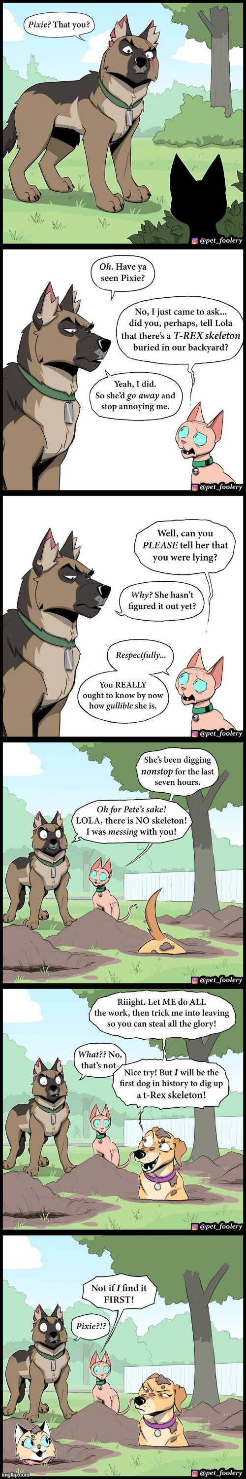 image tagged in dogs,cats,digging,t-rex,skeleton,bones | made w/ Imgflip meme maker