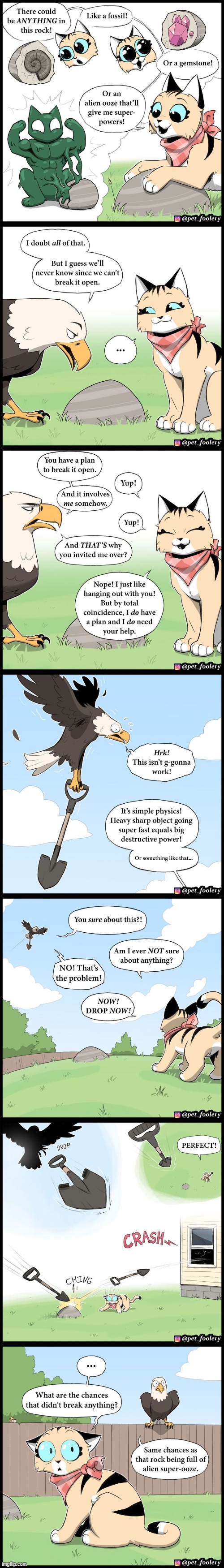 image tagged in cat,eagle,rock,shovel,crash,oops | made w/ Imgflip meme maker