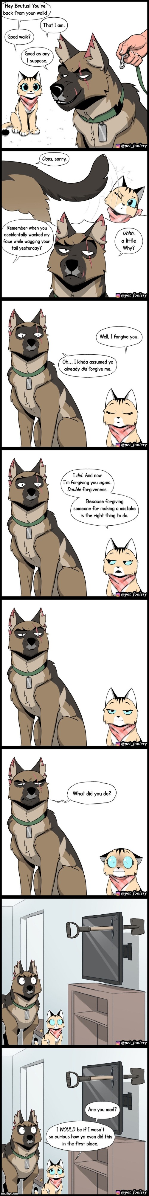 image tagged in cat,dog,forgiveness,tv,shovel,accident | made w/ Imgflip meme maker