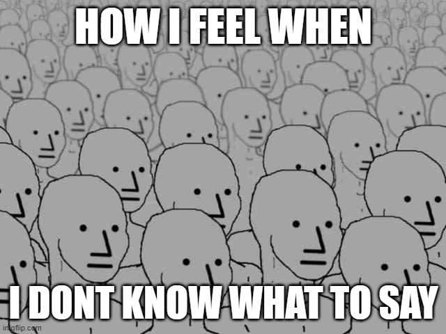Npc crowd | how i feel when; i dont know what to say | image tagged in npc crowd | made w/ Imgflip meme maker