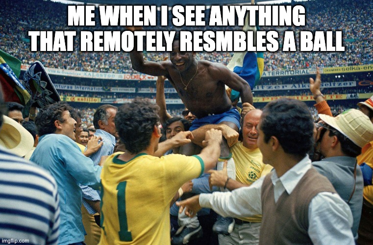 Pele moves | me when i see anything that remotely resmbles a ball | image tagged in pele,football,memes,world cup | made w/ Imgflip meme maker