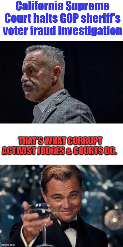 California Supreme Court halts GOP sheriff's voter fraud investigation; That's what corrupt activist judges & courts do. | image tagged in memes,leonardo dicaprio cheers | made w/ Imgflip meme maker