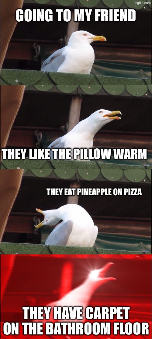 Inhaling Seagull | Going to my friend; they like the pillow warm; They eat pineapple on pizza; They have carpet on the bathroom floor | image tagged in memes,inhaling seagull | made w/ Imgflip meme maker