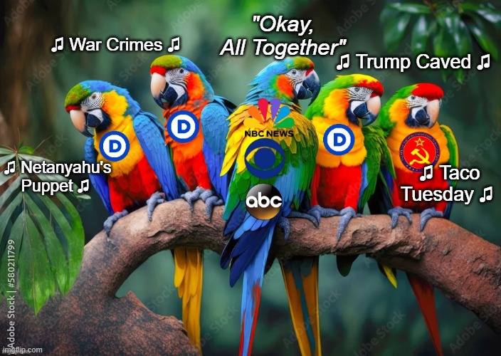 Parrots Gotta Parrot | "Okay, All Together"; ♫ War Crimes ♫; ♫ Trump Caved ♫; ♫ Netanyahu's Puppet ♫; ♫ Taco Tuesday ♫ | image tagged in iran war parrot msm meme | made w/ Imgflip meme maker