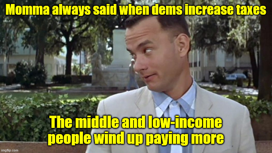Forrest Gump Face | Momma always said when dems increase taxes The middle and low-income people wind up paying more | image tagged in forrest gump face | made w/ Imgflip meme maker
