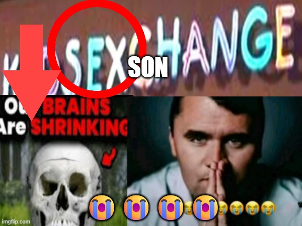 son???? | son; 😭😭😭😭 | image tagged in bro had one job,job had one bro,had job bro had | made w/ Imgflip meme maker