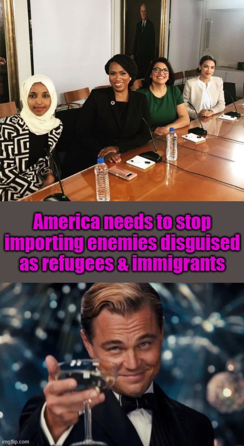 You know it's true. | America needs to stop importing enemies disguised as refugees & immigrants | image tagged in the squad,memes,leonardo dicaprio cheers | made w/ Imgflip meme maker