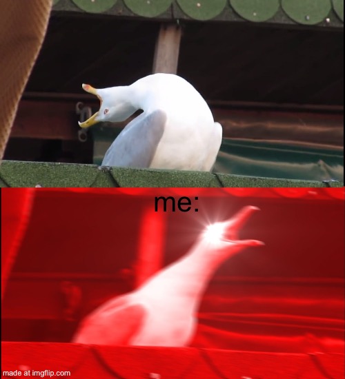me: | image tagged in screaming bird | made w/ Imgflip meme maker