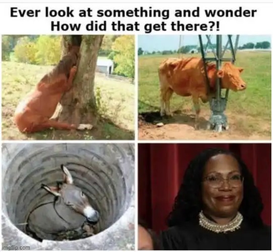 The Truth About Justice Ketanji Brown Jackson | image tagged in political humor,truth,dumb people,excuses,liberal logic,liberalism | made w/ Imgflip meme maker