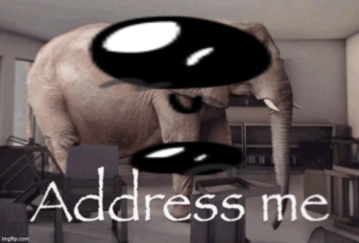 Address me | image tagged in address me | made w/ Imgflip meme maker