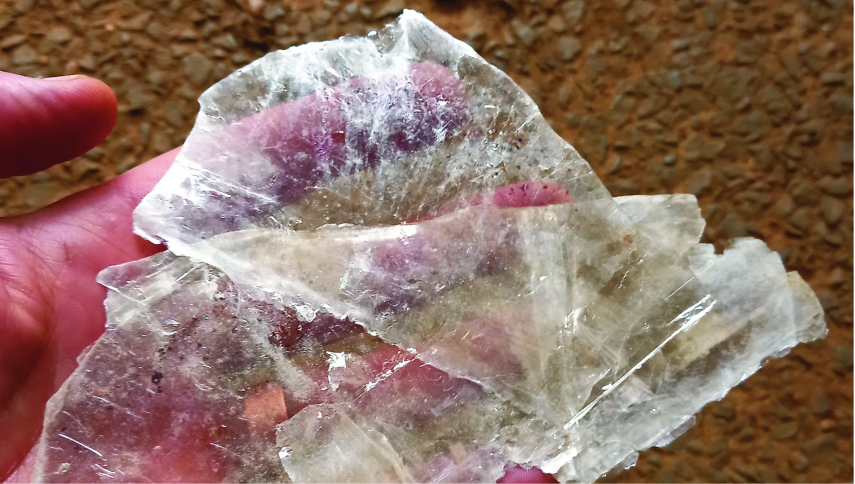 yes Blank Meme Template