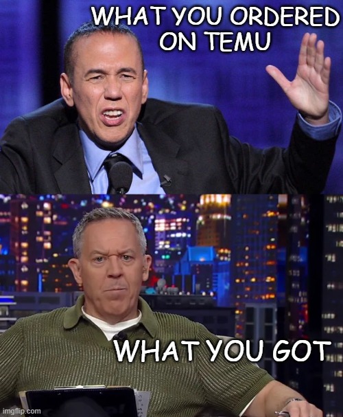 What you ordered
on TEMU; What you got | image tagged in gilbert gottfried,temu | made w/ Imgflip meme maker