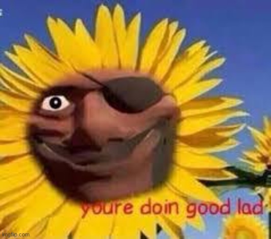 the question is are you doing good lad? | image tagged in the question is are you doing good lad | made w/ Imgflip meme maker