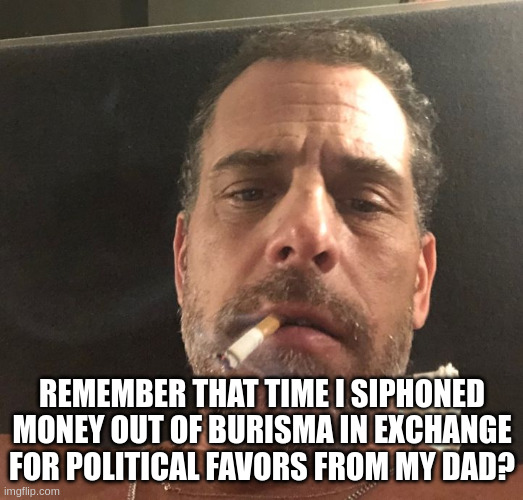 Remember that time I siphoned money out of Burisma in exchange for political favors from my dad? | image tagged in hunter biden | made w/ Imgflip meme maker