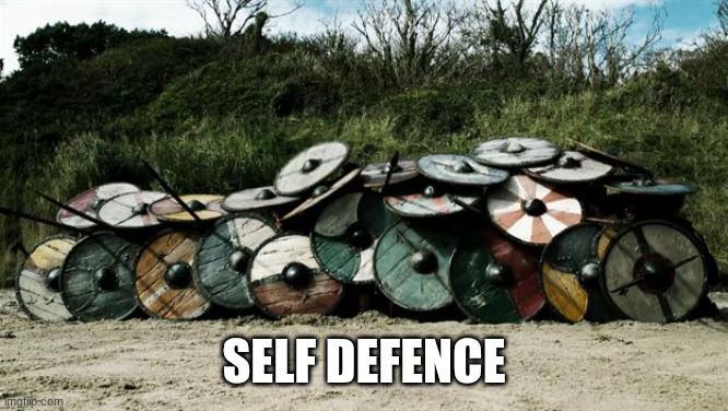 Shield Wall | self defence | image tagged in shield wall | made w/ Imgflip meme maker