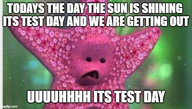 Starfish | TOdays the day the sun is shining 
its test day and we are getting out; uuuuhhhh its test day | image tagged in starfish | made w/ Imgflip meme maker
