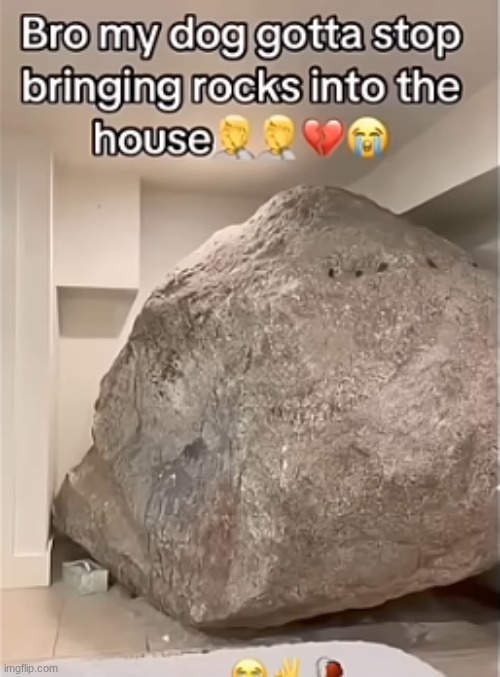 Looks like something ThePetRockGod would have in his house... | image tagged in rock,big | made w/ Imgflip meme maker