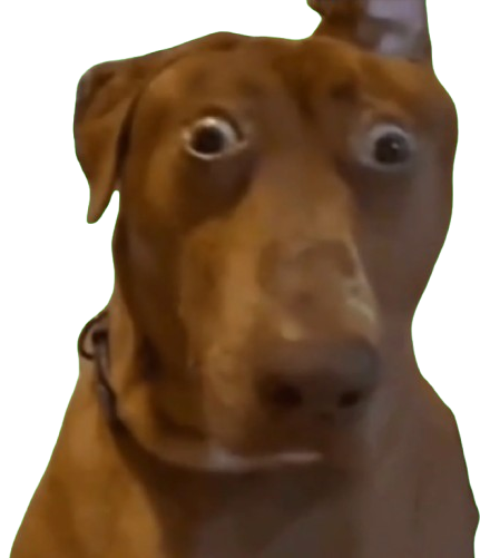 shocked dog Blank Meme Template