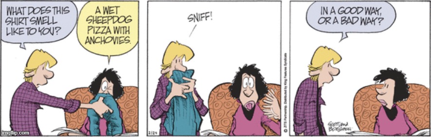 Zits | image tagged in comics | made w/ Imgflip meme maker