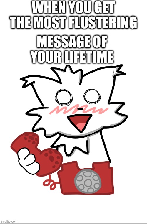 When you get THAT kind of message | When you get the most flustering; Message of your lifetime | image tagged in boykisser,flustering,sillycat | made w/ Imgflip meme maker