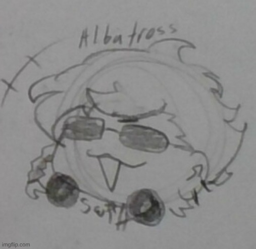 Albatross please come back to me, twin | made w/ Imgflip meme maker