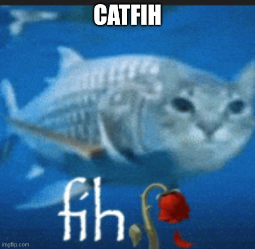catfih | catfih | image tagged in fish | made w/ Imgflip meme maker