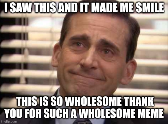 wholesome | I saw this and it made me smile this is so wholesome thank you for such a wholesome meme | image tagged in wholesome | made w/ Imgflip meme maker
